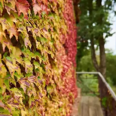 Country house Tirisondola