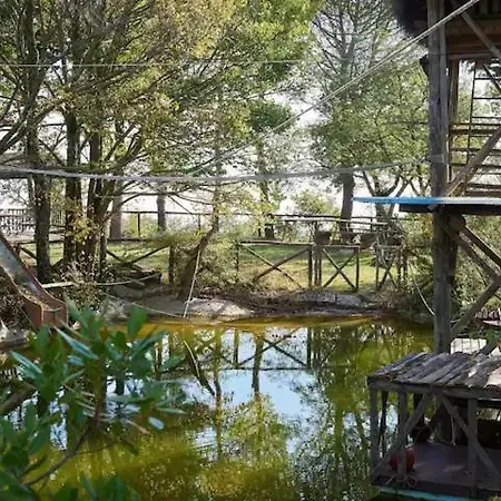 Tirisondola *
